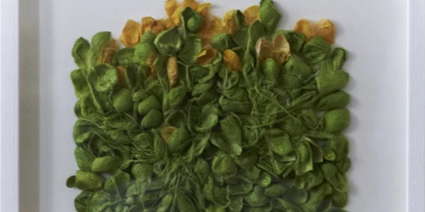 textile