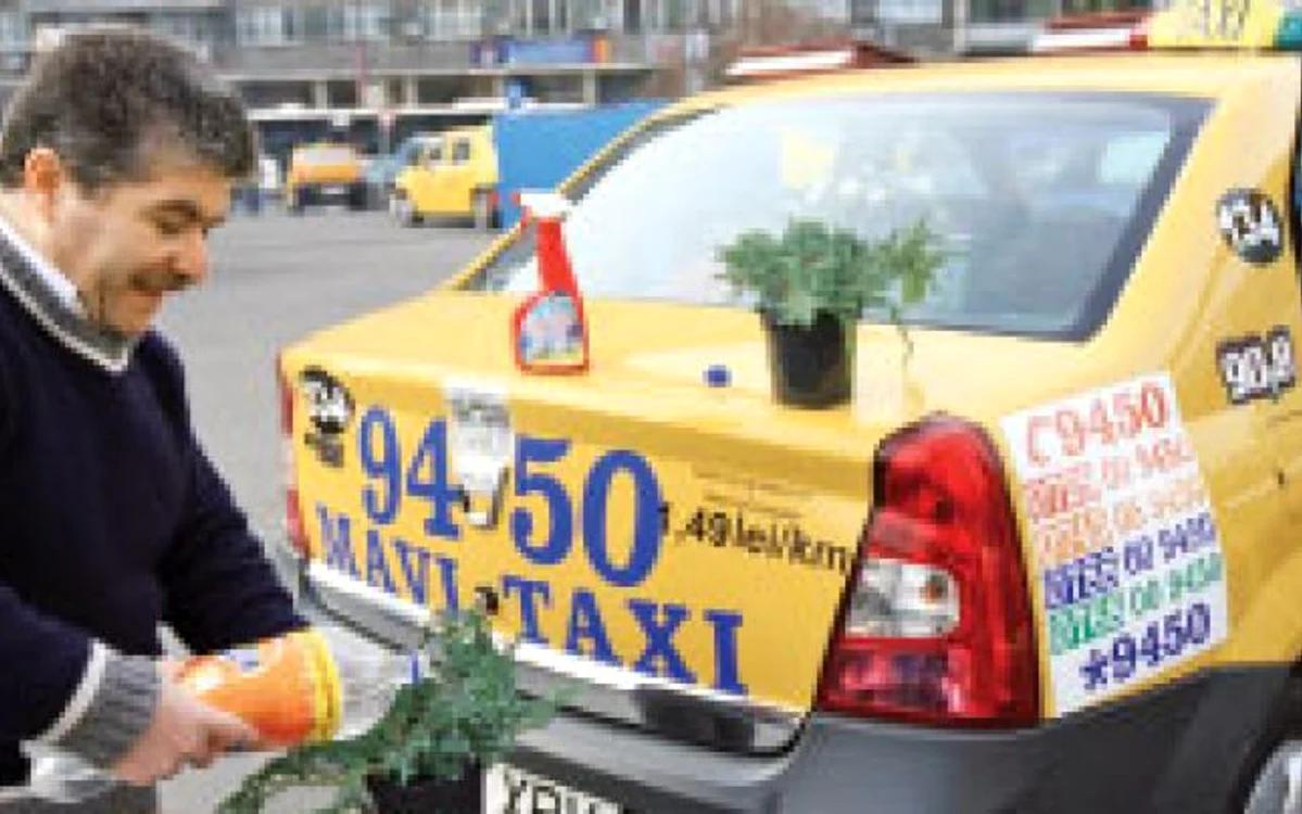 În staţia de taxiuri, un şofer udă doi brazi pitici. Sunt câteva dintre exponatele „grădinii“ sale ambulante