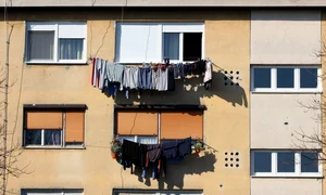 rufe uscat exterior bloc foto shutterstock