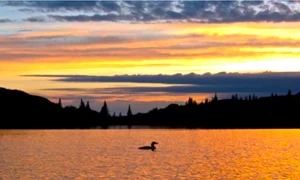 alaska, sua jpg