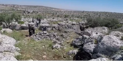 Captură de ecran 2023 05 20 141856 png