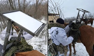 cai starlink2/FOTO:X