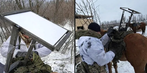 cai starlink2/FOTO:X