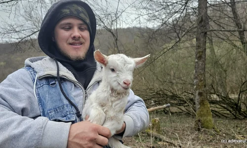 Tânăr Cioban din satul Almășel din Hunedoara  Foto Daniel Guță ADEVĂRUL jpg
