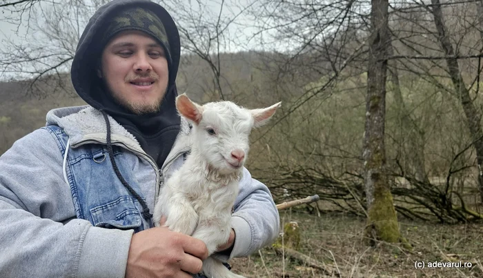 Creșterea animalelor a rămas ocupația tradițională a localnicilor. Foto: Daniel Guță. ADEVĂRUL