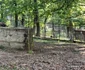 Zoo Hunedoara  Foto Daniel Guță Adevărul (5) jpg