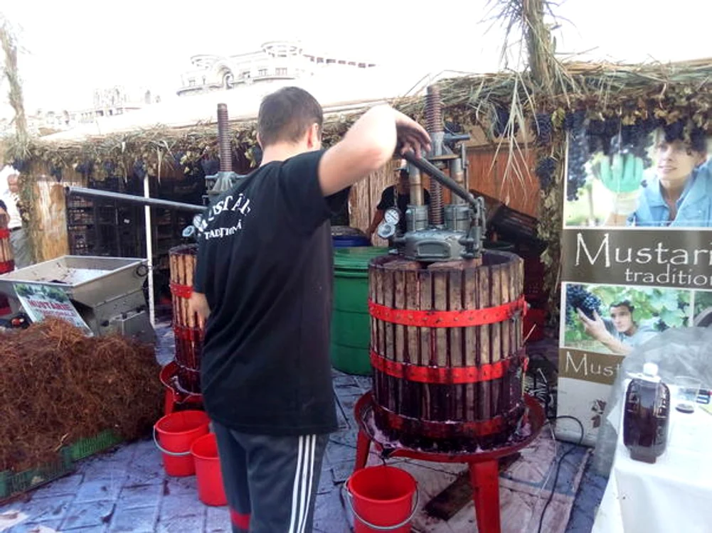 
    Cei mai mari producători de struguri vor veni să facă must sub ochii vizitatorilor  