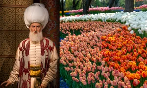 Suleiman Magnificul, lalele  foto   Shutterstock jpg