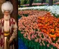 Suleiman Magnificul, lalele  foto   Shutterstock jpg