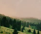 Bilbor 1