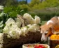 Meghan Markle în grădină la Montecito