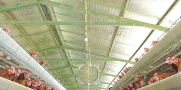 Agricola Bacău, plus de 10% la nouă luni