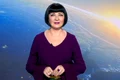 neti sandu