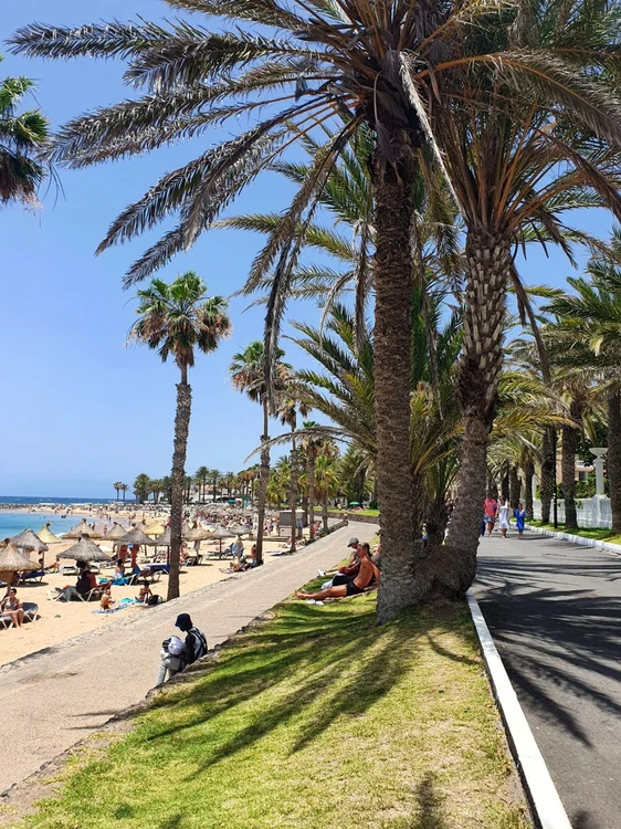 Tenerife Foto Cristina Stancu