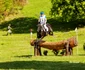 Karpathia Horse Show