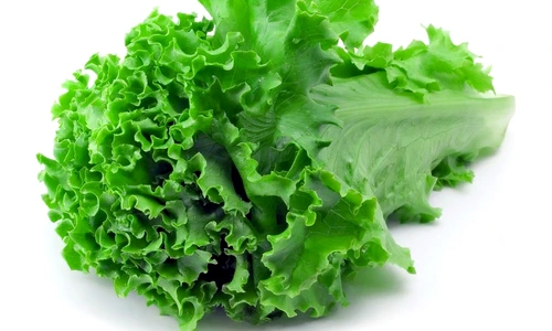 salata verde jpeg