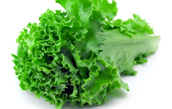 Cum să păstezi salata proaspătă pentru mai mult timp. Foto: arhiva.