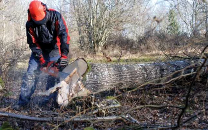 Lucrările de exploatare forestieră s-au diminuat, lucru care a afectat vânzările de produse destinate acestei activităţi