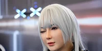 china robot umanoid jpg