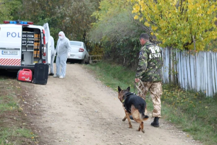 La cercetările la faţa locului poliţiştii au dus şi un câine de urmă