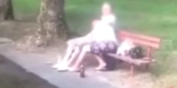sex oral intr-un parc din dej foto captura video