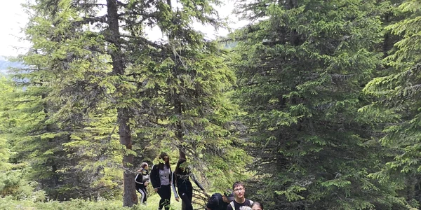 educatie montana