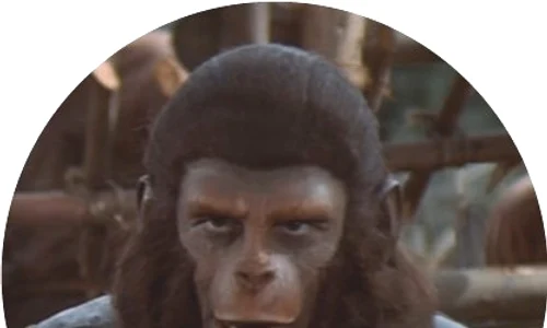 Sînt animalele non umane persoane? jpeg