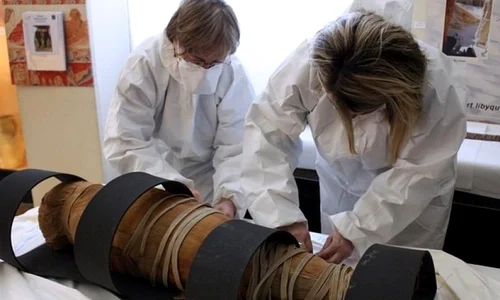 Cel mai vechi caz de cancer de prostată din Egipt, identificat la o mumie veche de 2 200 ani jpeg