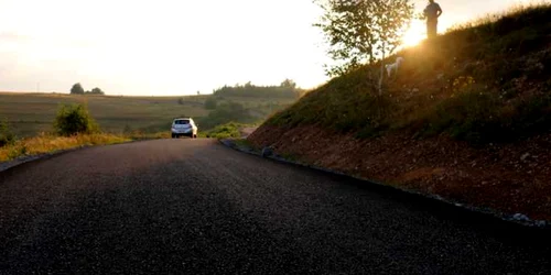 Tinutul padurenilor sosea cerbal socet foto daniel guta adevarul