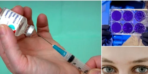 Principalele simptome în caz de coronavirus