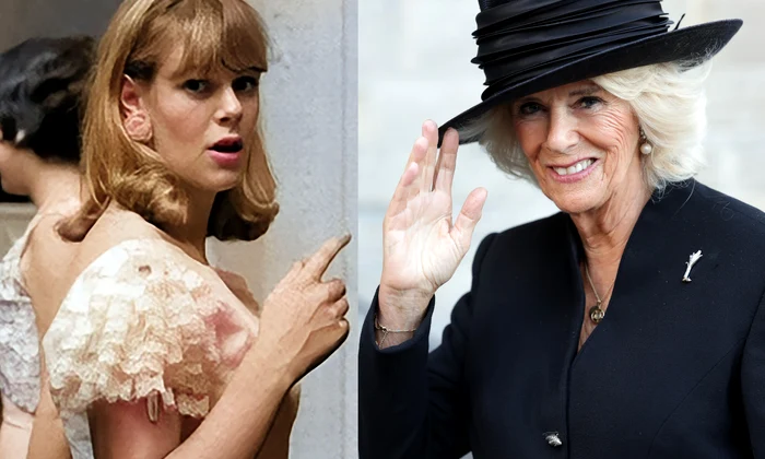Regina Consoartă Camilla jpg