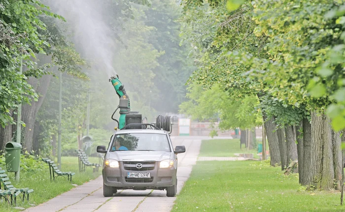 Foto: Dorin Constanda