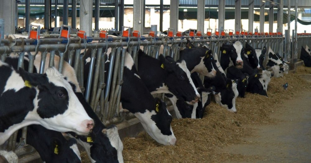 ANSVSA limitează cantitățile de produse ce pot fi vândute direct de ferme consumatorilor | DOCUMENT