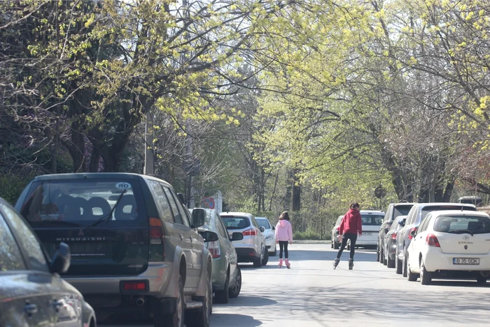 Cu rolele, pe Șoseaua Nordului