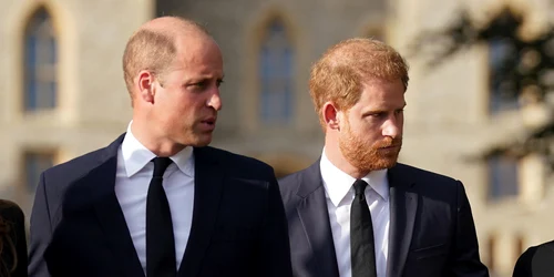 William si harry plus wifeprofimedia 0721506801 jpg
