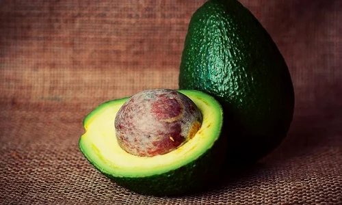 avocado jpeg
