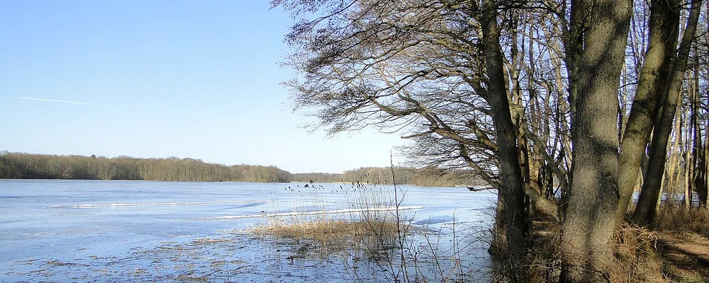 Lacul Dümmer din Saxonia Inferioară, Germania
