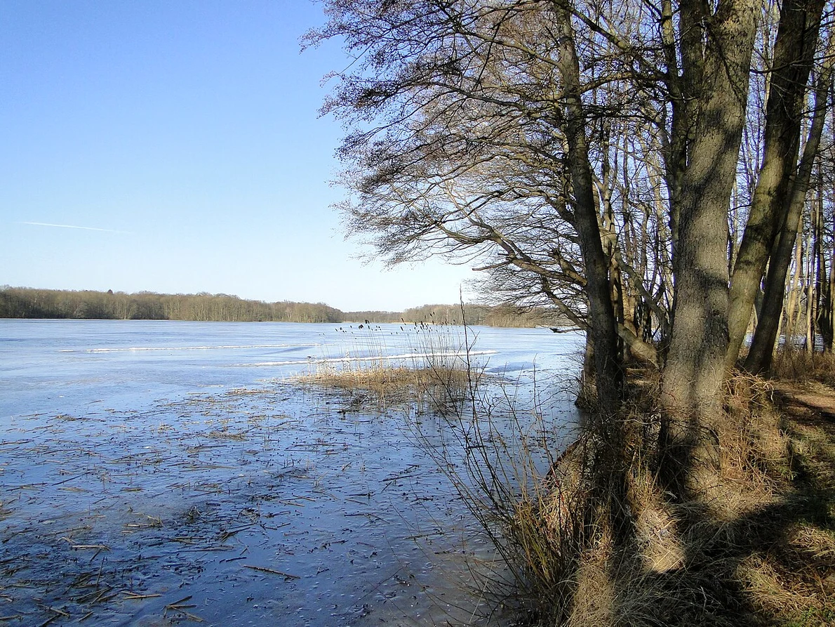 Lacul Dümmer din Saxonia Inferioară, Germania