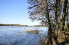 Lacul Dümmer din Saxonia Inferioară, Germania