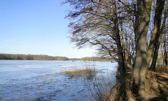 Lacul Dümmer din Saxonia Inferioară, Germania