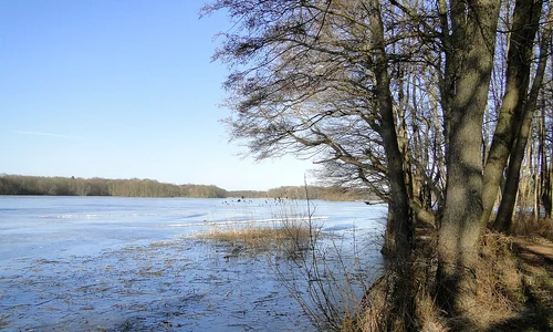Lacul Dümmer din Saxonia Inferioară, Germania