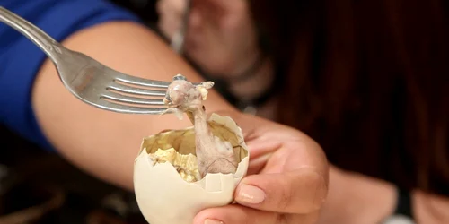 „Balut” este considerat cel mai scârbos preparat din lume FOTO Youtube