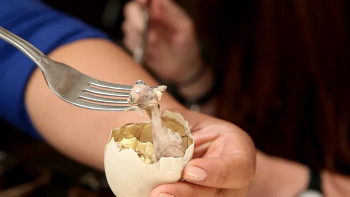 „Balut” este considerat cel mai scârbos preparat din lume FOTO Youtube