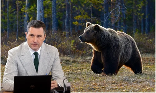 tanczos barna ursi jpg