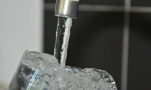 apa robinet foto pixabay jpg