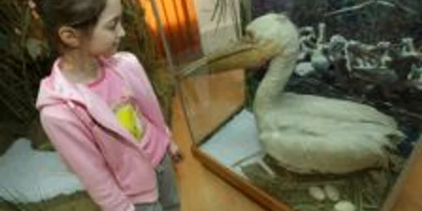 Copii, încântaţi de lumea păsărilor