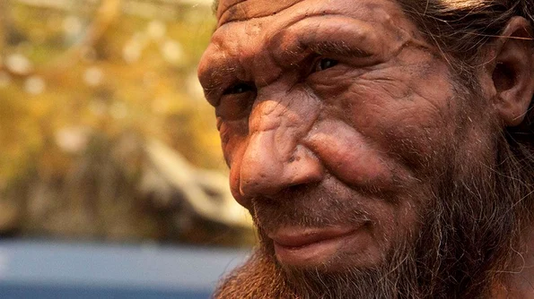 Descoperire inedită! Oamenii de Neanderthal mâncau fructe de mare jpeg