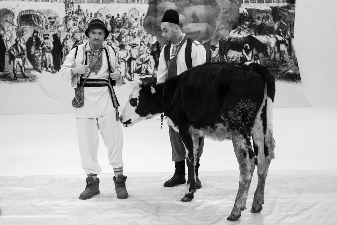 Vaca s-a apropiat de Mihai Bendeac, iar acesta a fost de-a dreptul şocat (foto: Antena 1)