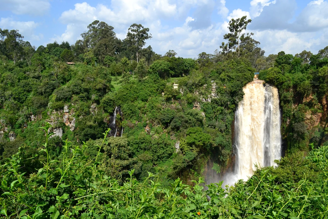 În pădurea din Kenya, poliția a exhumat 47 de cadavre Foto: Pixabay.com