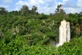 padure Kenya jpg